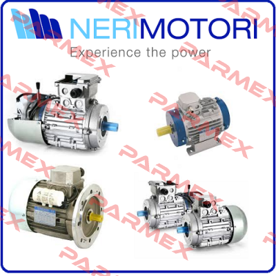 3 T63B2 12050221002  POWER RATING : 0.3 KW  SPEED : 50 TO 550 RPM  IP55  Neri Motori