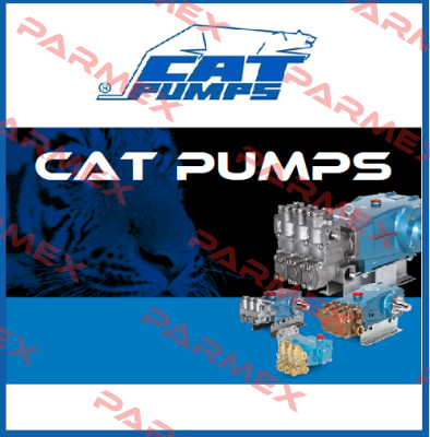 31039 Cat Pumps