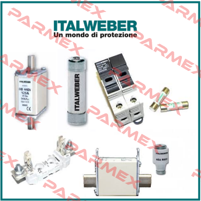 IW 0121400 Italweber