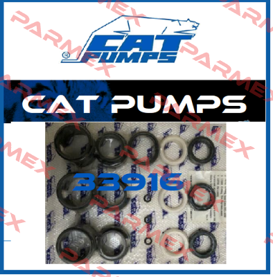 33916 Cat Pumps