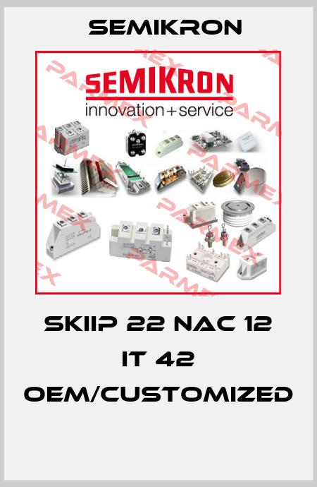 SKIIP 22 NAC 12 IT 42 OEM/customized  Semikron
