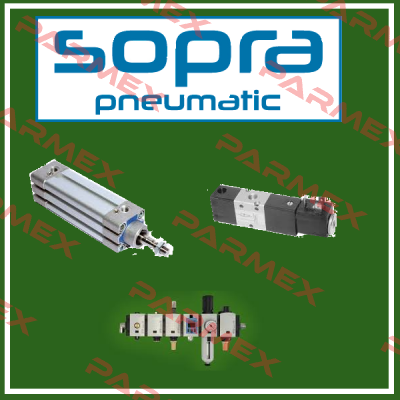 RT1300400150  Sopra-Pneumatic