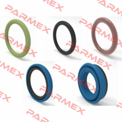 P-A1-2015 INOX  Angst-Pfister