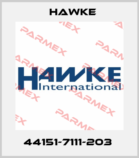 44151-7111-203  Hawke