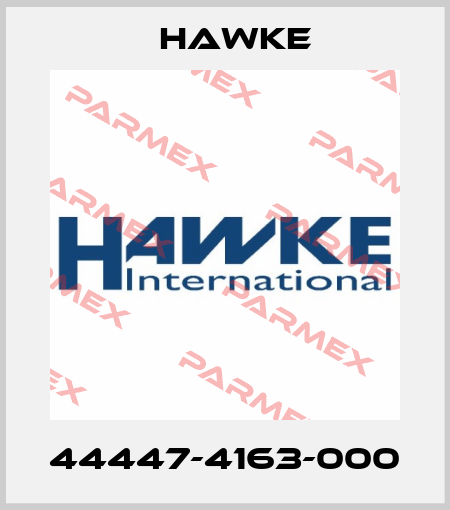 44447-4163-000 Hawke