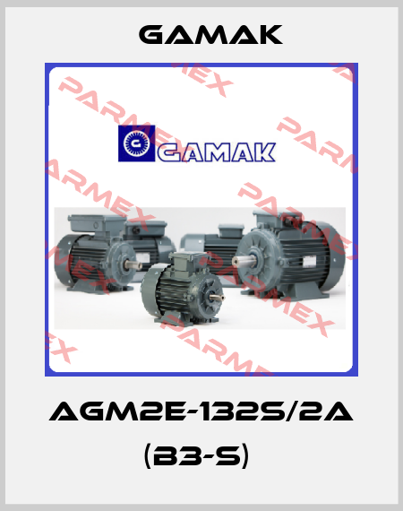 AGM2E-132S/2a (B3-S)  Gamak