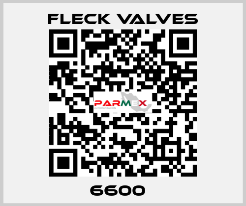 6600   Fleck Valves