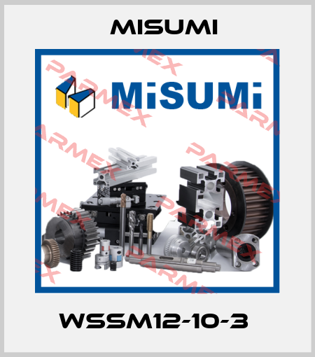 WSSM12-10-3  Misumi