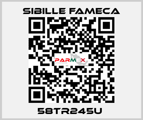 58TR245U  Sibille Fameca