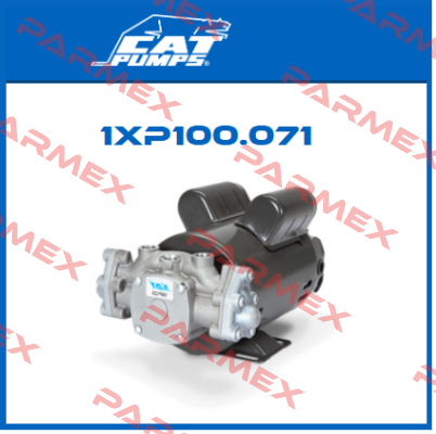 1XP100.071 Cat Pumps