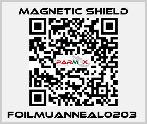 FOILMUANNEAL0203  Magnetic Shield