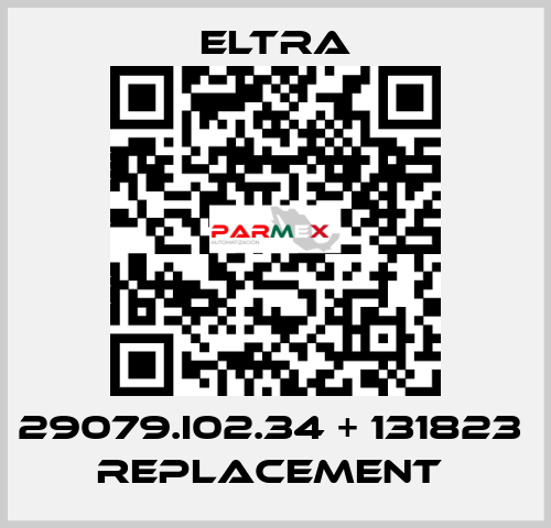 29079.I02.34 + 131823  Replacement  Eltra