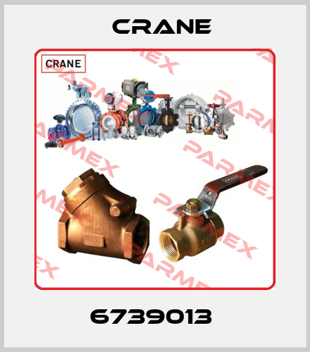 6739013  Crane