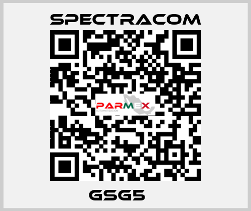 GSG5　  SPECTRACOM