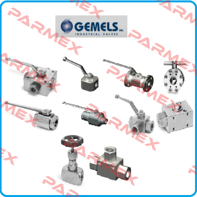 GE2GGT44011AF10  Gemels