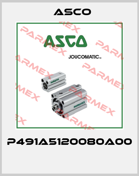 P491A5120080A00  Asco
