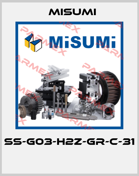 SS-G03-H2Z-GR-C-31  Misumi