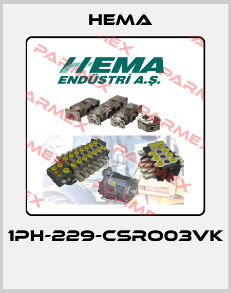 1PH-229-CSRO03VK  Hema
