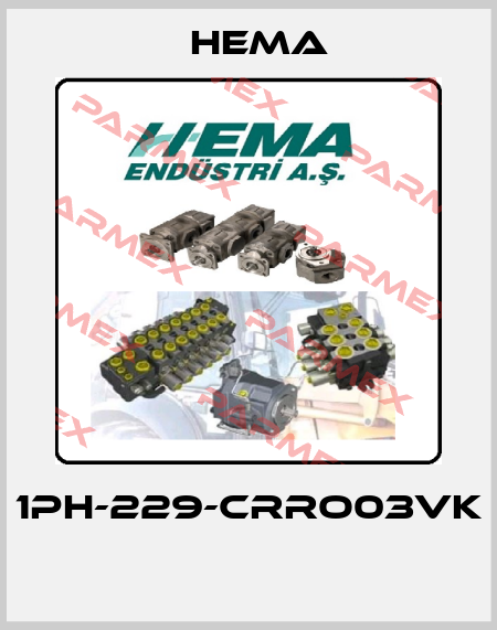 1PH-229-CRRO03VK  Hema