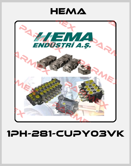 1PH-281-CUPY03VK  Hema