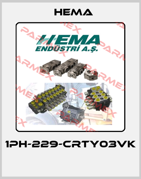 1PH-229-CRTY03VK  Hema
