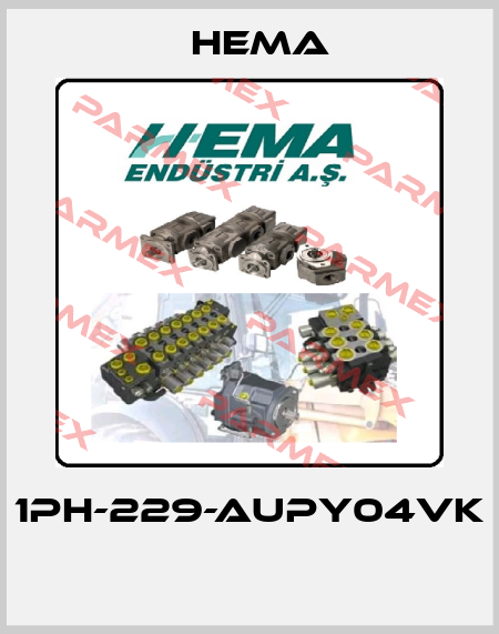 1PH-229-AUPY04VK  Hema