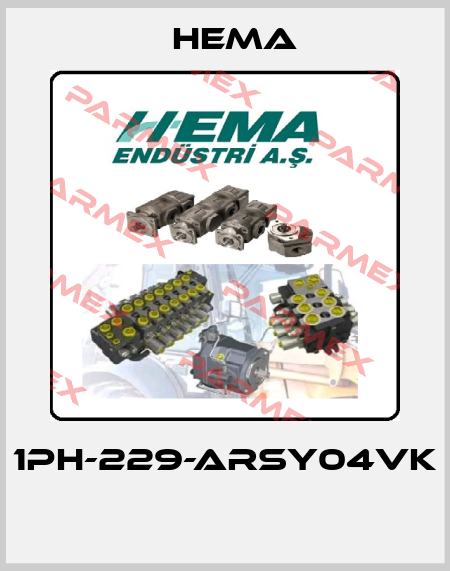 1PH-229-ARSY04VK  Hema