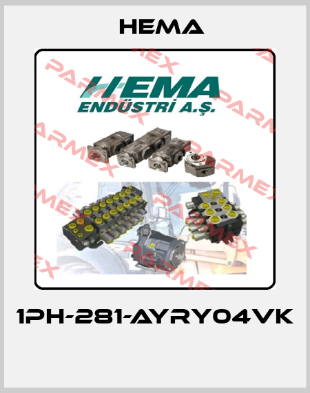 1PH-281-AYRY04VK  Hema