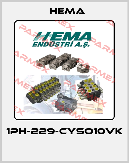 1PH-229-CYSO10VK  Hema