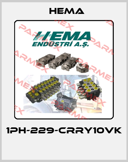 1PH-229-CRRY10VK  Hema