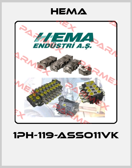 1PH-119-ASSO11VK  Hema