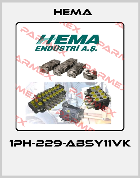 1PH-229-ABSY11VK  Hema