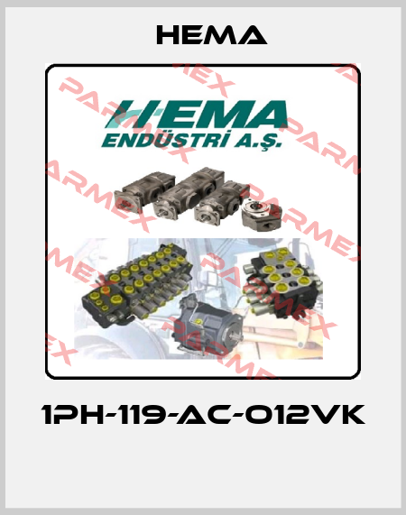 1PH-119-AC-O12VK  Hema