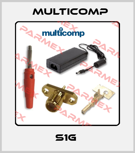 S1G  Multicomp