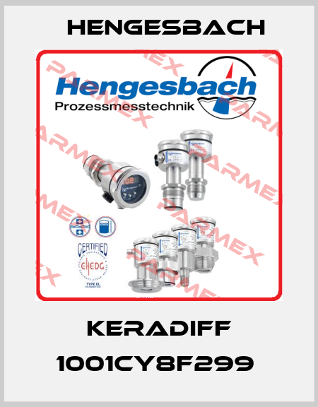 KERADIFF 1001CY8F299  Hengesbach