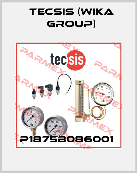 P1875B086001  Tecsis (WIKA Group)