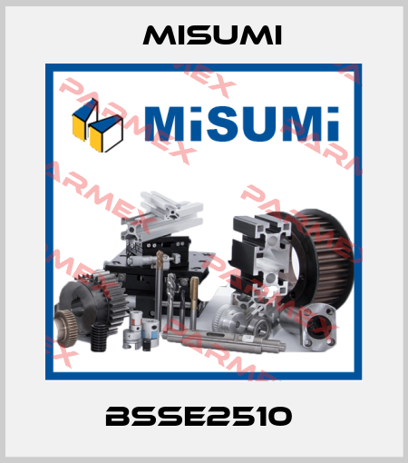 BSSE2510  Misumi