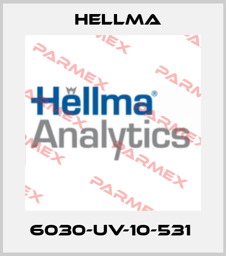 6030-UV-10-531  Hellma