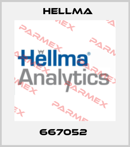667052  Hellma