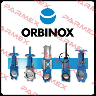 VG DN 250 PN10  Orbinox