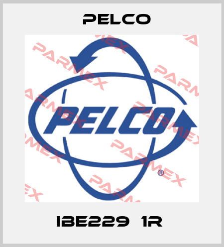 IBE229‐1R  Pelco