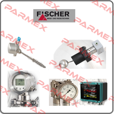 DS1102VA21B10W00  Fischer Mess Regeltechnik