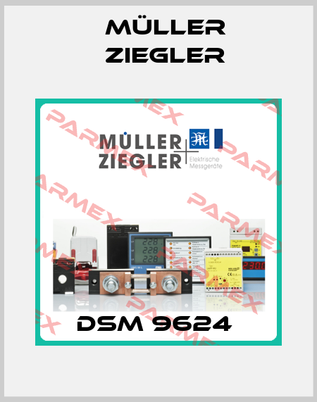 DSM 9624  Müller Ziegler