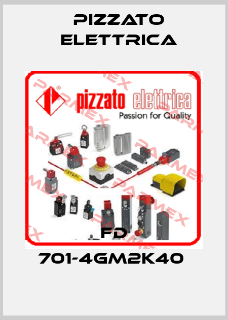 FD 701-4GM2K40  Pizzato Elettrica