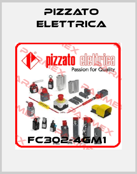 FC302-4GM1  Pizzato Elettrica