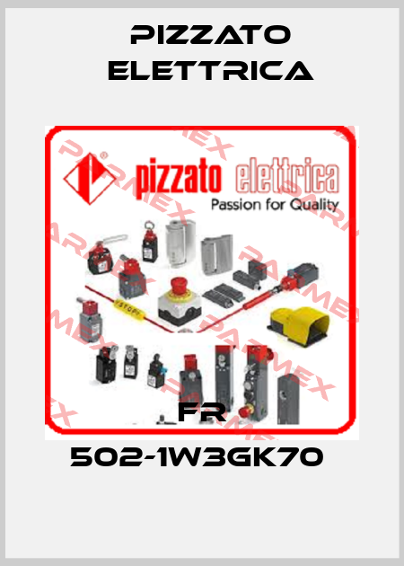FR 502-1W3GK70  Pizzato Elettrica