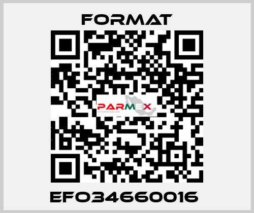 EFO34660016  Format