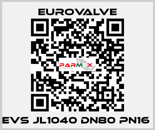 EVS JL1040 DN80 PN16  Eurovalve