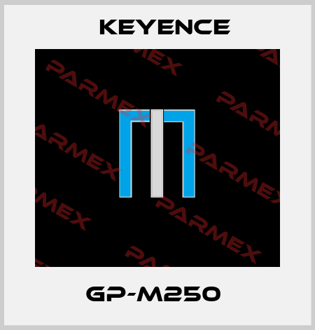 GP-M250  Keyence