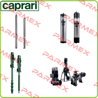 P/N: 811321, Type: CVX051/20+E0300T212-V CAPRARI 